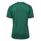 Футболка CORE STRIPED SS JERSEY 003-755-6131-S Взрослые Мужской ЗЕЛЁНЫЙ