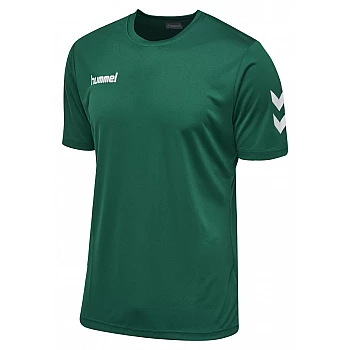 Футболка CORE POLYESTER TEE 003-756-6140-S Взрослые Мужской ЗЕЛЁНЫЙ