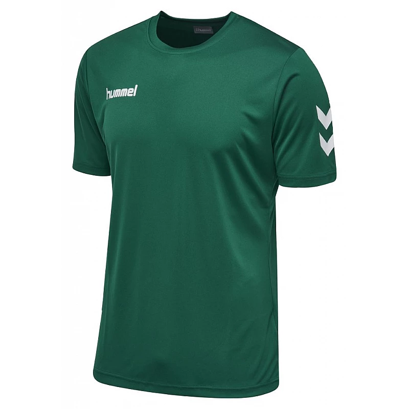 Футболка CORE POLYESTER TEE 003-756-6140-S Взрослые Мужской ЗЕЛЁНЫЙ
