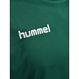 Футболка CORE POLYESTER TEE 003-756-6140-XL Взрослые Мужской ЗЕЛЁНЫЙ