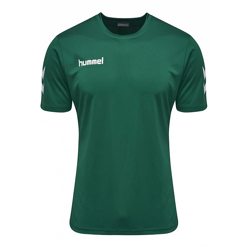 Футболка CORE POLYESTER TEE 003-756-6140-L Взрослые Мужской ЗЕЛЁНЫЙ