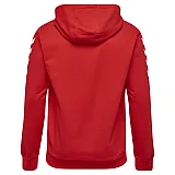 Худі CORE COTTON HOODIE 033-451-3062-L Дорослі Унісекс ЧЕРВОНИЙ