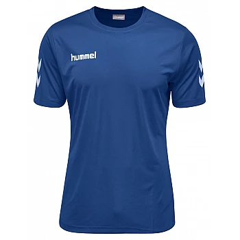 Футболка CORE POLYESTER TEE 003-756-7045-XXL Взрослые Мужской СИНИЙ