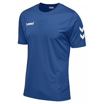 Футболка CORE POLYESTER TEE 003-756-7045-XXL Взрослые Мужской СИНИЙ