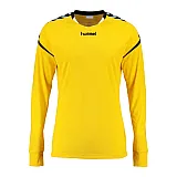 Реглан AUTH. CHARGE LS POLY JERSEY 004-616-5001-XL Взрослые Мужской ЖЕЛТЫЙ