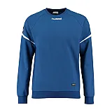 Світшоти AUTH. CHARGE COTTON SWEATSHIRT 003-709-7045-XXL Дорослі Жіноча СИНІЙ