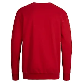 Світшоти дитячий CORE COTTON SWEAT 136-894-3062-164-176 Підлітки і діти Унісекс ЧЕРВОНИЙ