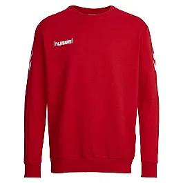 Світшоти дитячий CORE COTTON SWEAT 136-894-3062-164-176 Підлітки і діти Унісекс ЧЕРВОНИЙ