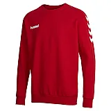 Світшоти дитячий CORE COTTON SWEAT 136-894-3062-164-176 Підлітки і діти Унісекс ЧЕРВОНИЙ