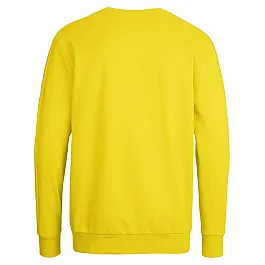 Світшоти дитячий CORE COTTON SWEAT 136-894-5001-140-152 Підлітки і діти Унісекс ЖОВТИЙ