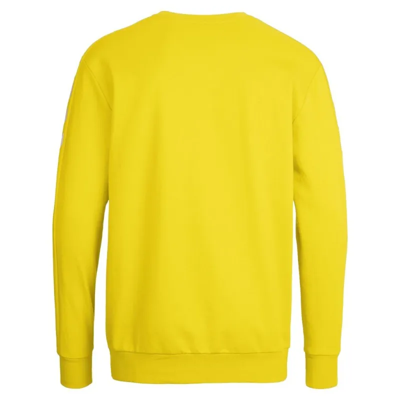 Світшоти дитячий CORE COTTON SWEAT 136-894-5001-116-128 Підлітки і діти Унісекс ЖОВТИЙ