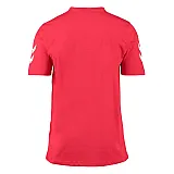 Футболка дитяча CORE COTTON TEE 109-541-3062-140-152 Підлітки і діти Унісекс ЧЕРВОНИЙ