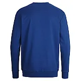 Світшоти дитячий CORE COTTON SWEAT 136-894-7045-164-176 Підлітки і діти Унісекс СИНІЙ