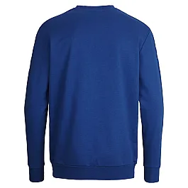 Світшоти дитячий CORE COTTON SWEAT 136-894-7045-164-176 Підлітки і діти Унісекс СИНІЙ