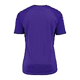 Футболка детская Hummel AUTH. CHARGE SS POLY JERSEY 103-677-3819-164-176 Подростки и дети Унисекс ФИОЛЕТОВЫЙ