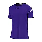 Футболка детская Hummel AUTH. CHARGE SS POLY JERSEY 103-677-3819-140-152 Подростки и дети Унисекс ФИОЛЕТОВЫЙ