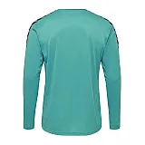 Реглан AUTHENTIC POLY JERSEY L/S 204-922-7392-M Взрослые Мужской ГОЛУБОЙ