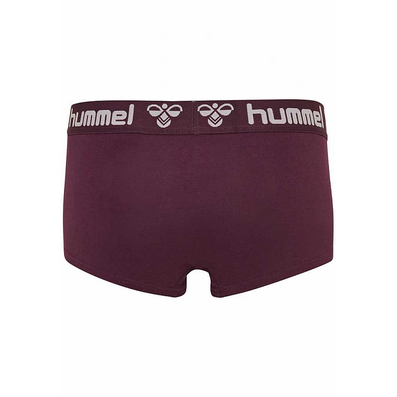 Хіпстери MAYA 2PACK HIPSTERS 203-851-3858-L Дорослі Жіноча ФІОЛЕТОВИЙ