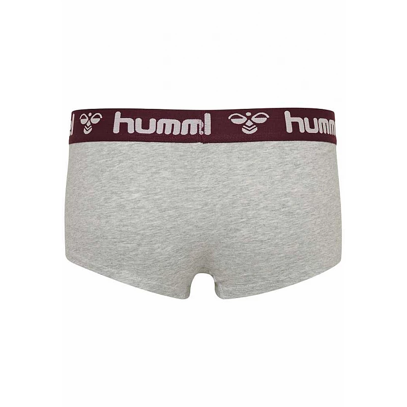 Хипстеры MAYA 2PACK HIPSTERS 203-851-3858-S Взрослые Женский ФИОЛЕТОВЫЙ