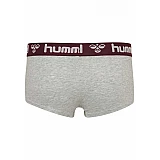 Хіпстери MAYA 2PACK HIPSTERS 203-851-3858-XS Дорослі Жіноча ФІОЛЕТОВИЙ