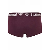 Хіпстери MAYA 2PACK HIPSTERS 203-851-3858-XS Дорослі Жіноча ФІОЛЕТОВИЙ