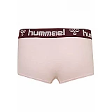 Хіпстери MAYA 2PACK HIPSTERS 203-851-3333-L Дорослі Жіноча РОЖЕВИЙ