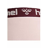 Хіпстери MAYA 2PACK HIPSTERS 203-851-3333-XS Дорослі Жіноча РОЖЕВИЙ