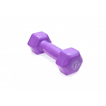 Гантели для фитнеса и аэробики обрезиненные Power System 2 kg PS-4025 Purple (1 шт)