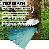 Фитнес-резинки набор из 5 шт. PowerPlay 4113 Зеленые