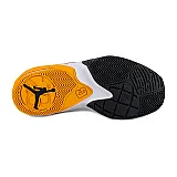 Кросівки Jordan MAX AURA 3 SE (GS)