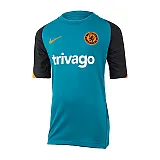 Футболка Nike CFC YNK DF STRKE TOP SS CL