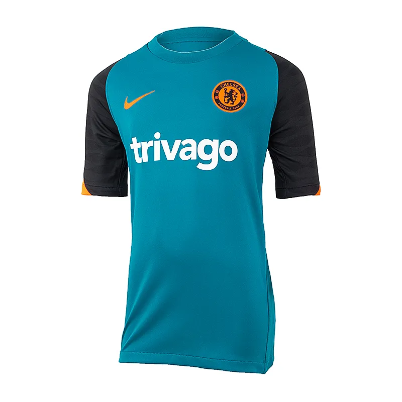 Футболка Nike CFC YNK DF STRKE TOP SS CL