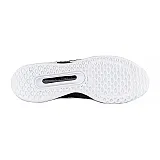 Кросівки Nike ZOOM COURT PRO HC