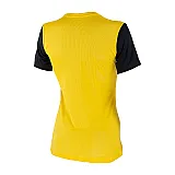 Футболка Nike W NK DF TIEMPO PREM II JSY SS