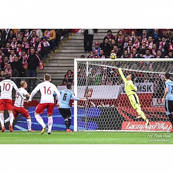 Ворота футбольные Yakimasport стационарные 7,33 м x 2,44 FIFA BR0007