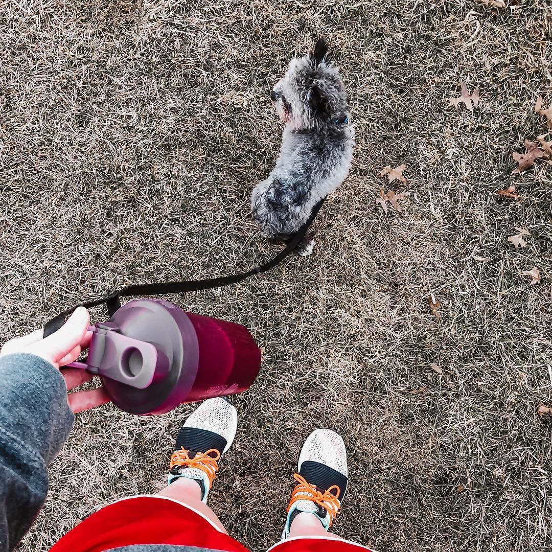 Спортивный шейкер BlenderBottle Classic Loop 590ml Plum (ORIGINAL) фото товару