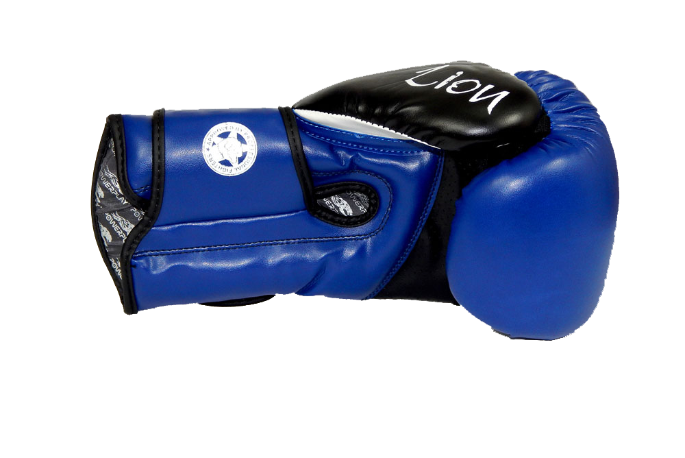 Боксерські рукавиці PowerPlay 3006 Сині 10 унцій фото товара