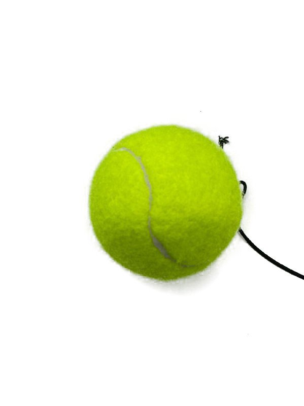 Файтбол PowerPlay 4319 Fight Ball фото товару