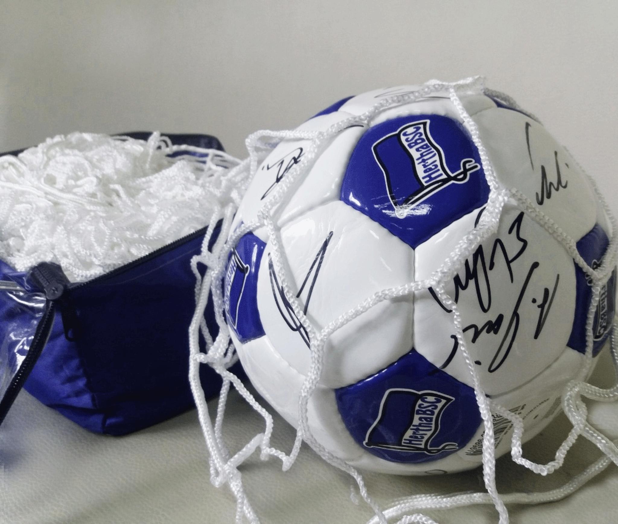 Сетка для футбольных ворот (шестигранная) 5х5 5550 фото товара