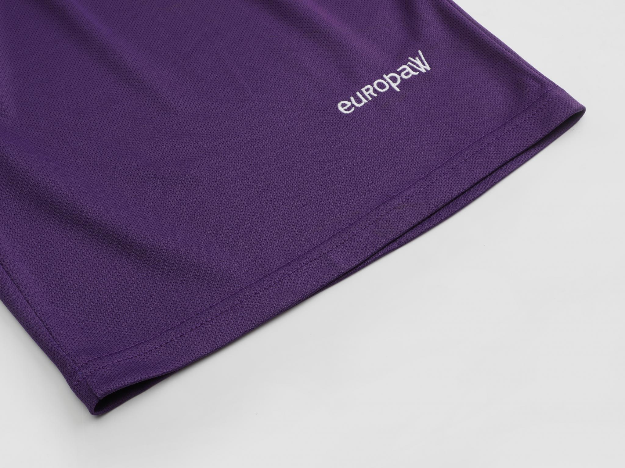 Футбольная форма детская (kid) Europaw 026 голубо-фиолетовая [XS] фото товару