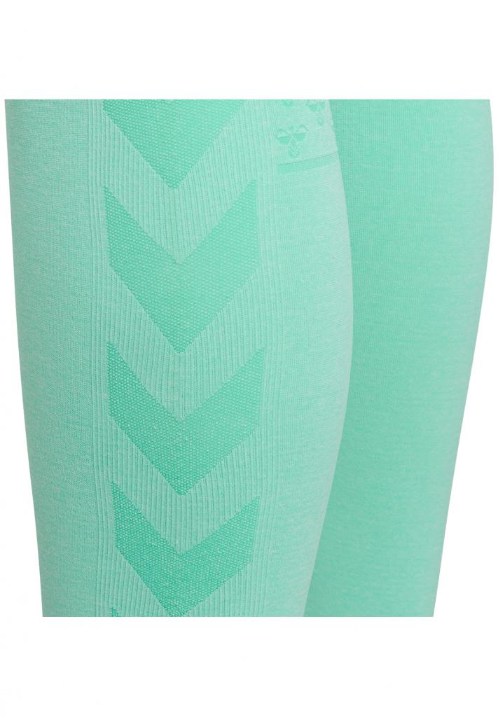 Тайтси CLASSIC BEE CI SEAMLESS TIGHTS 011-336-6211-XL/XXL Дорослі Жіноча М'ЯТНИЙ