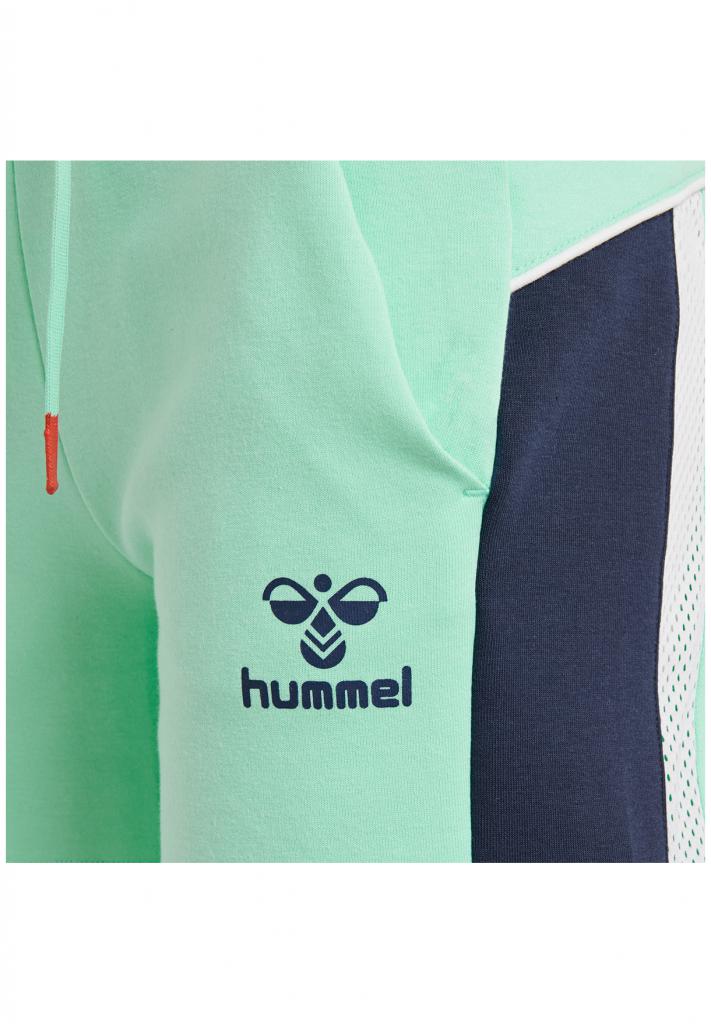 Шорты hmlNIRVANA 206-374-6194-L Взрослые Женский МЯТНЫЙ