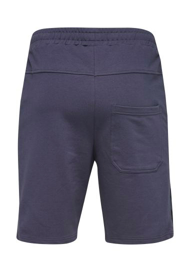 Шорти CLASSIC BEE AAGE SHORTS 010-810-8739-S Дорослі Чоловіча ТЕМНО-ФІОЛЕТОВИЙ