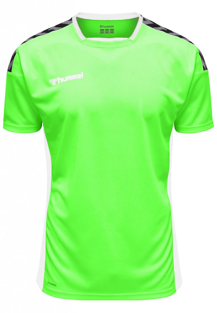 Футболка AUTHENTIC POLY JERSEY S/S 204-919-6750-S Взрослые Мужской САЛАТОВЫЙ