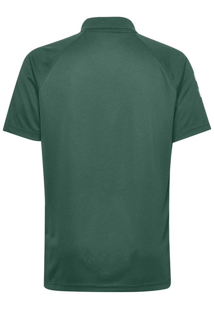 Футболка-поло CORE FUNCTIONAL POLO 203-447-6140-L Дорослі Чоловіча ЗЕЛЕНИЙ