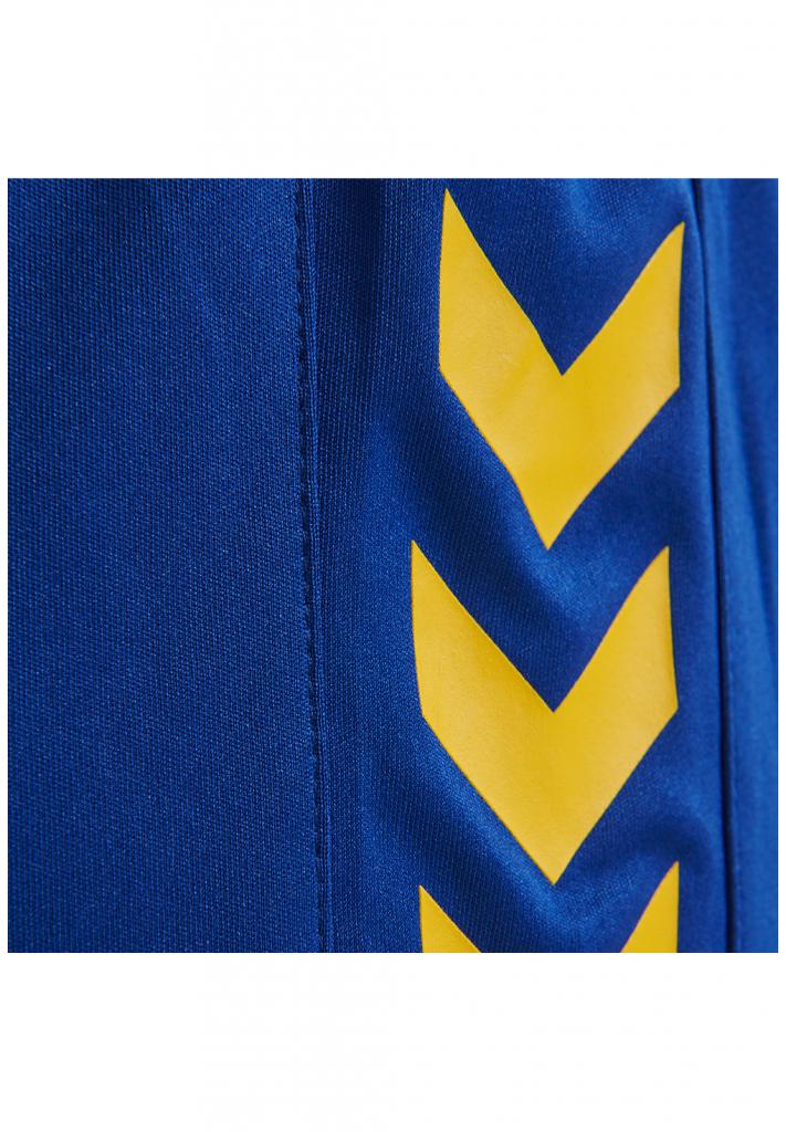 Шорты женские CORE WOMENS SHORTS 011-086-7725-M Взрослые Женский СИНИЙ