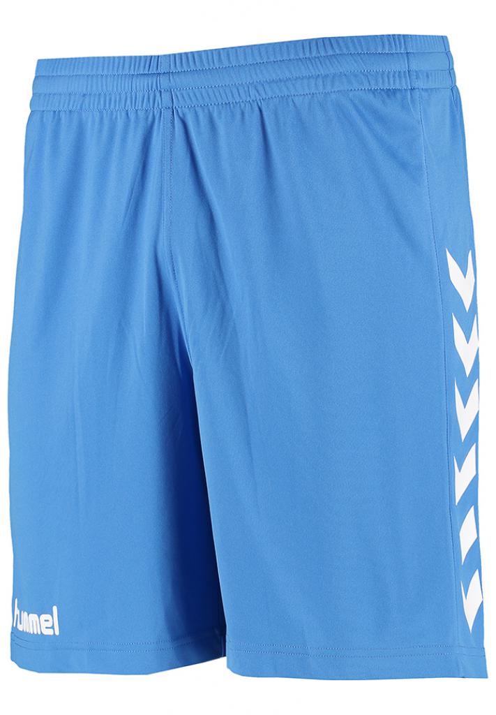 Шорты CORE POLY SHORTS 011-083-8643-XL Взрослые Мужской ГОЛУБОЙ