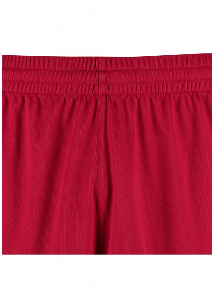 Шорты CORE POLY SHORTS 011-083-3602-XXL Взрослые Мужской МАЛИНОВЫЙ