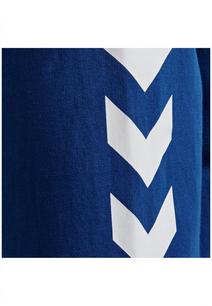 Кофта HMLGO COTTON ZIP HOODIE 204-230-7045-L Дорослі Чоловіча СИНІЙ