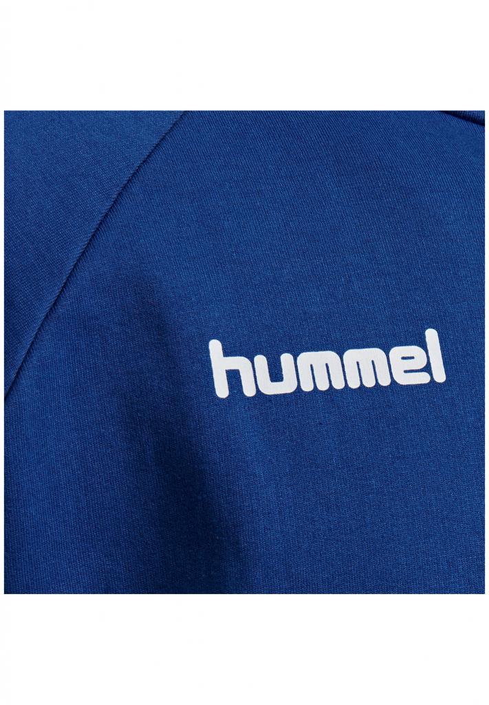 Кофта HMLGO COTTON ZIP HOODIE 204-230-7045-M Дорослі Чоловіча СИНІЙ